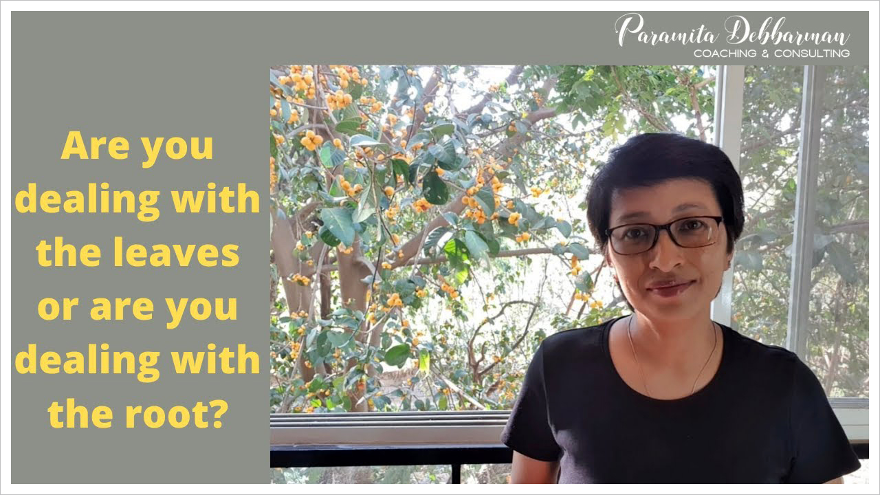 Paramita Debbarman: Blog - Are you dealing with the leaves or are you dealing with the root?
