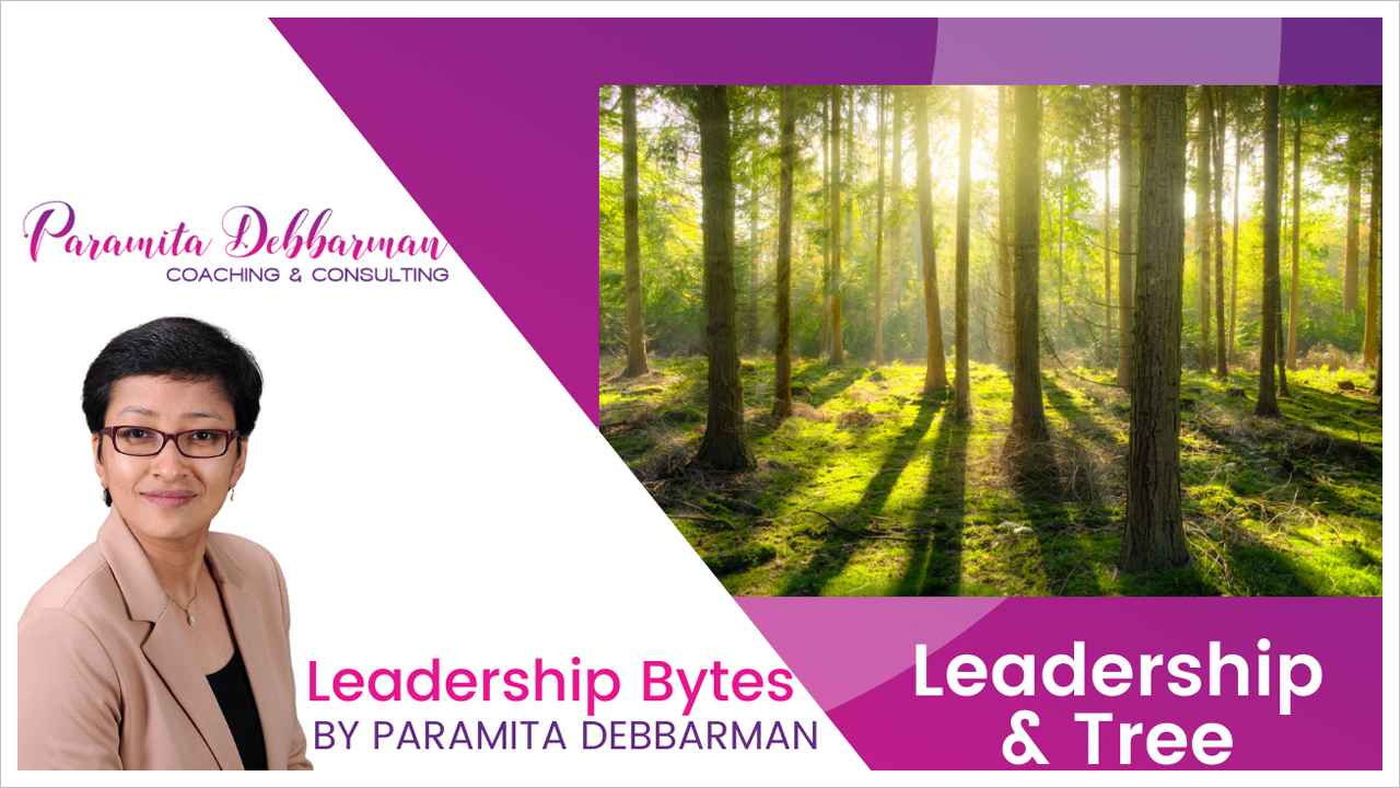 Paramita Debbarman: Blog - Leadership lesson from the life of a tree